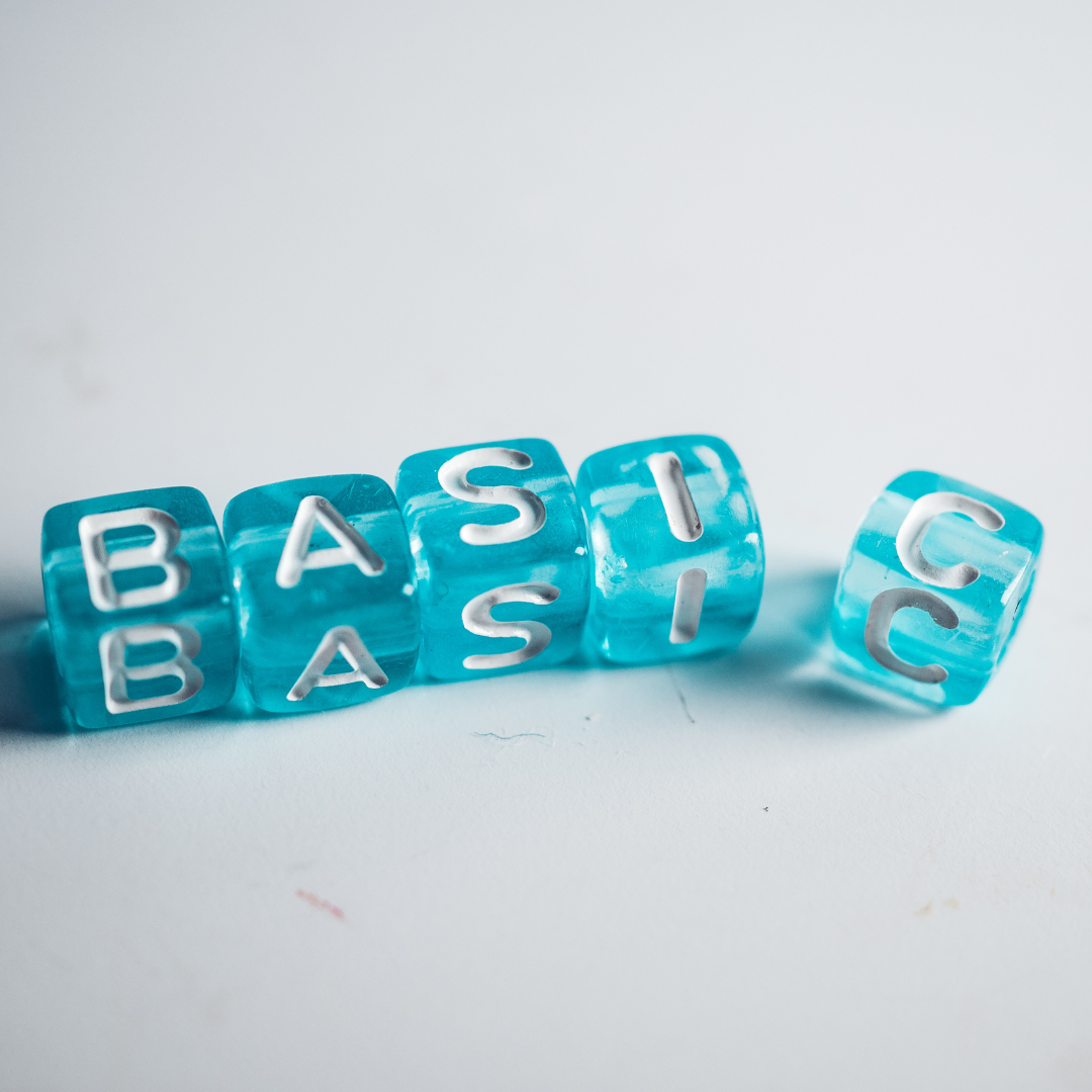 German Basics for Beginners