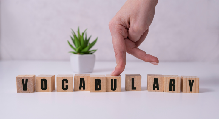 Building German Vocabulary for Adults