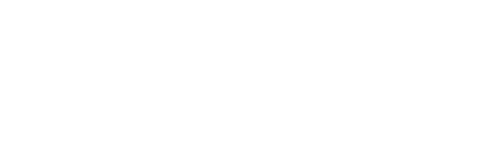 German Academy Zurich